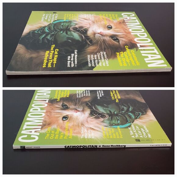 CATMOPOLITAN Magazine Humorous Tribute to Cats by Ilene Hochberg 1987 - Picture 4 of 16